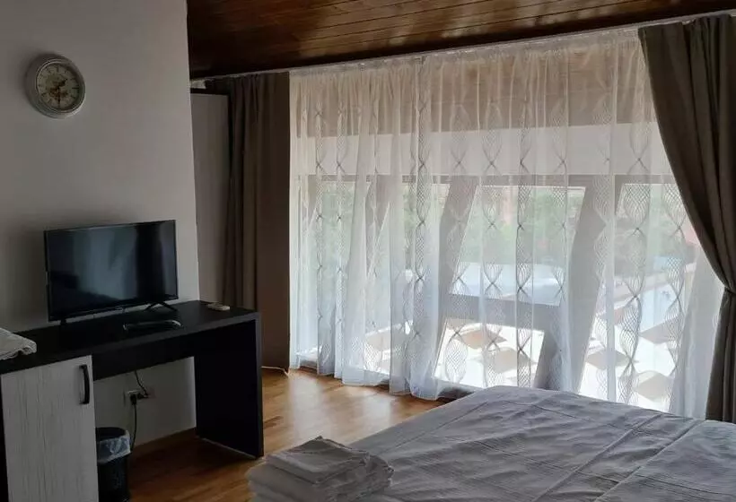 Hotelli Pensiunea Medaless