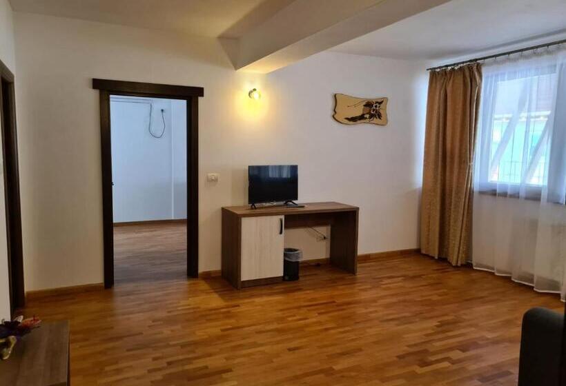 Hotel Pensiunea Medaless