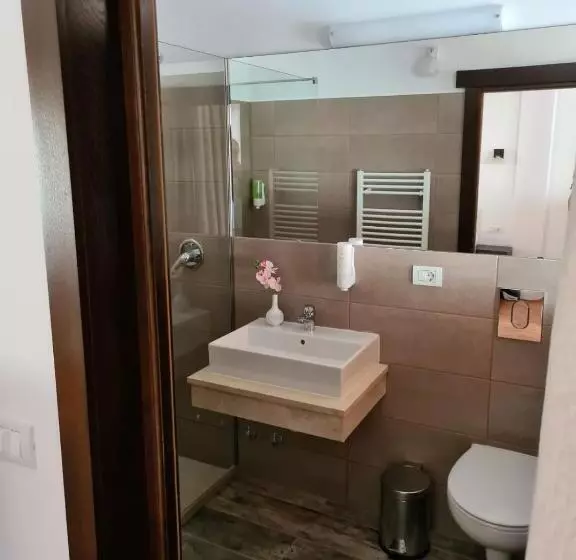 Hotelli Pensiunea Medaless