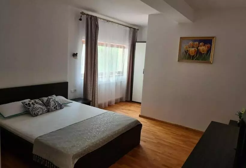 Hotelli Pensiunea Medaless