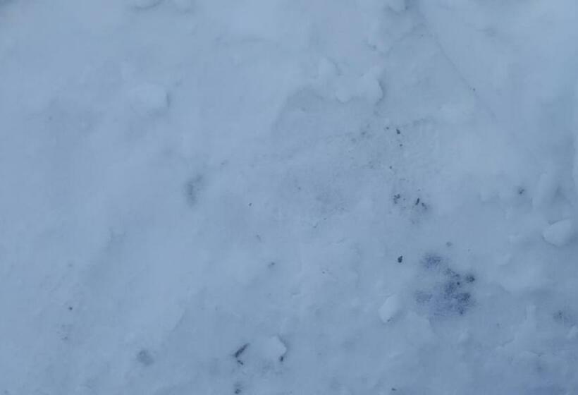 بنسيون Bonita Chalet