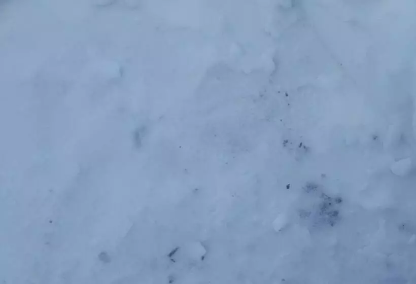 ペンション Bonita Chalet