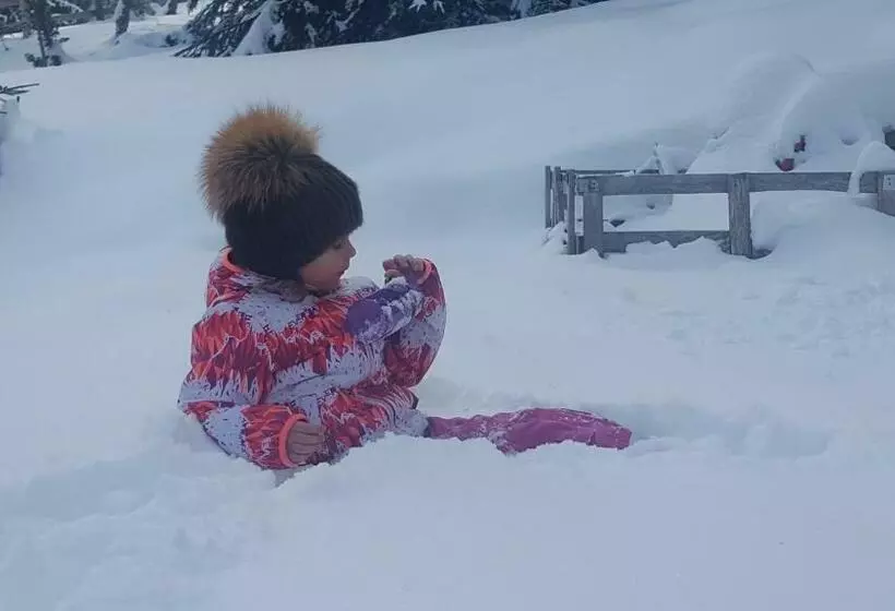 ペンション Bonita Chalet