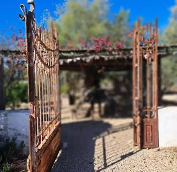 Majatalo Olive Grove Cottage