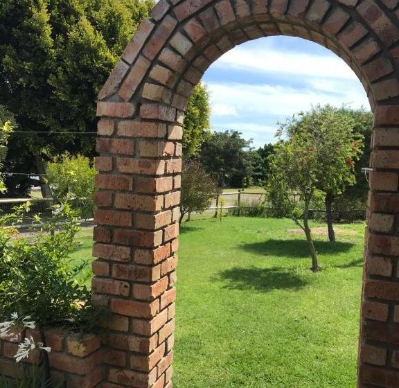 بنسيون The Store