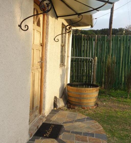 بنسيون The Store