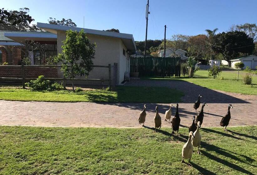 بنسيون The Store