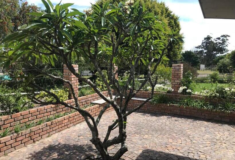 بنسيون The Store