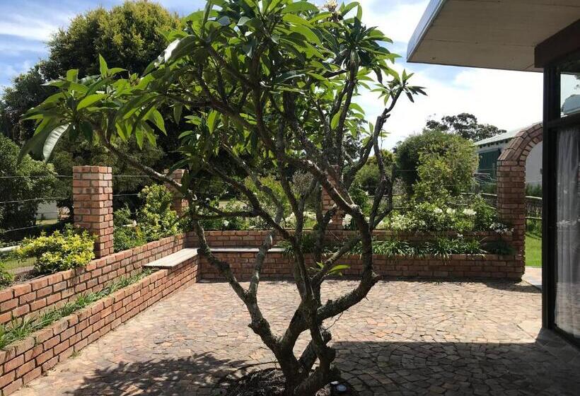 بنسيون The Store