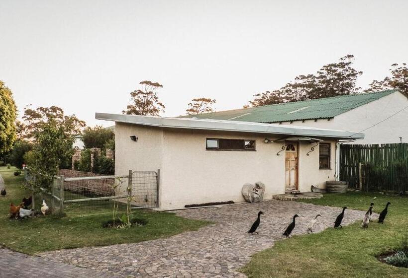 بنسيون The Store