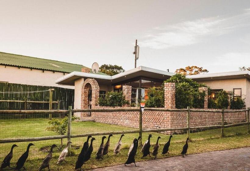 بنسيون The Store