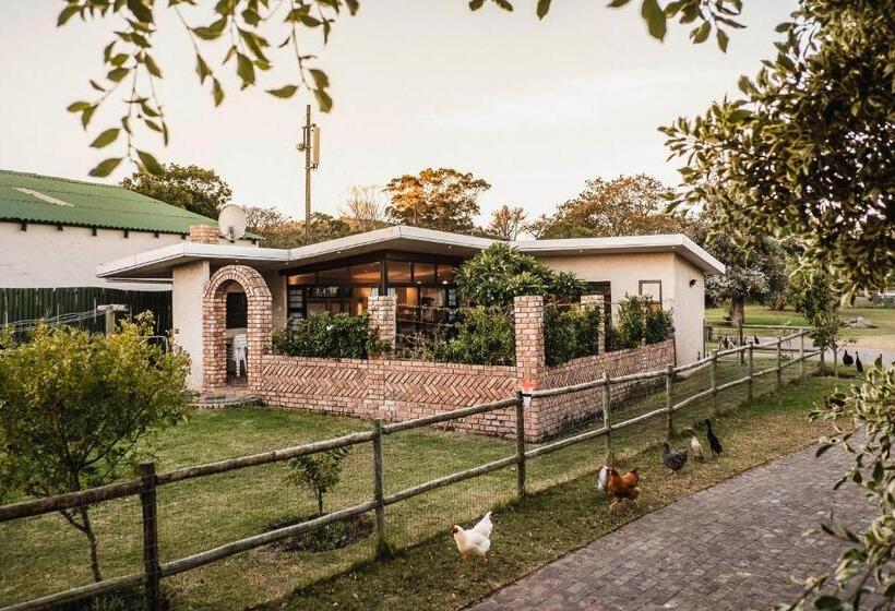 بنسيون The Store