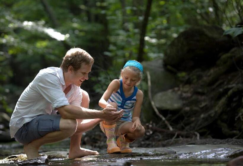 אתר נופש Winter Clove Family Inn