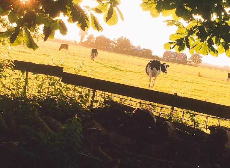 B&b De Pauw Country Home Cooking