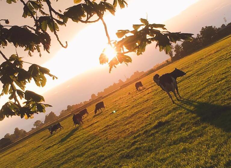 B&b De Pauw Country Home Cooking