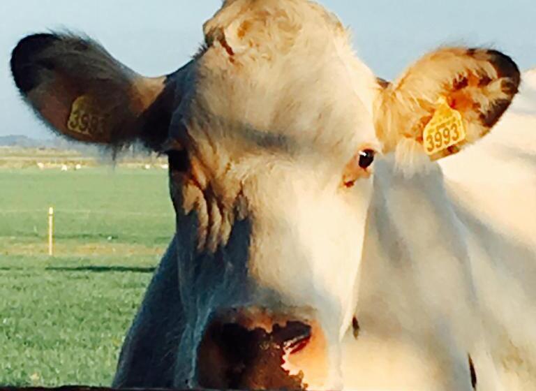 B&b De Pauw Country Home Cooking