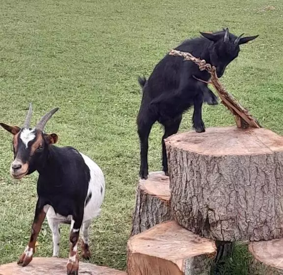 Aamiaismajoitus (B&B) Casa Matteo De Haan Grote Straat 152