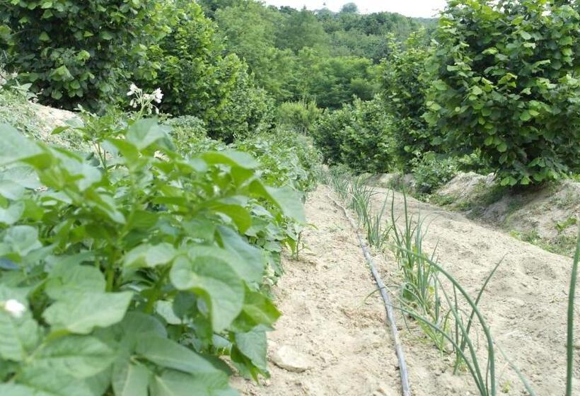 مبيت وإفطار Cit Ni