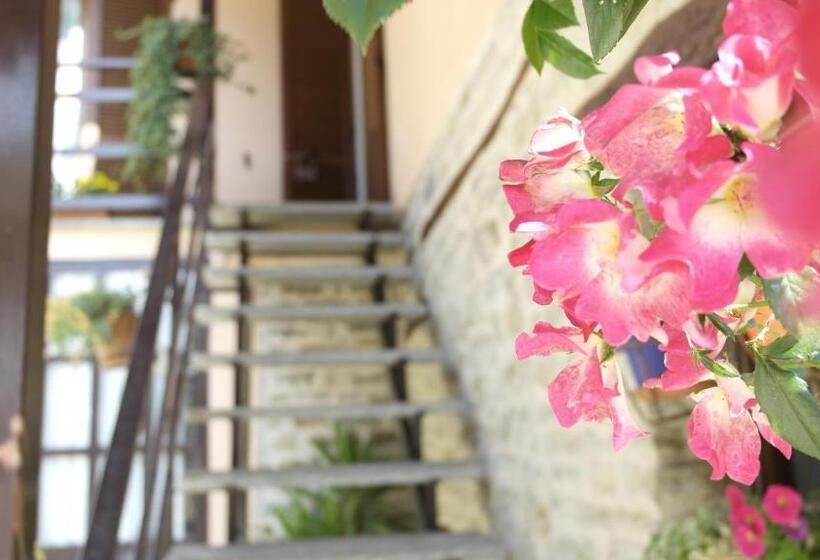 مبيت وإفطار Cit Ni