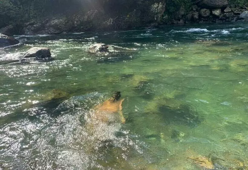 Aamiaismajoitus (B&B) Ecocabaña Pocahontas En Rio Santo Domingo, Melcocho