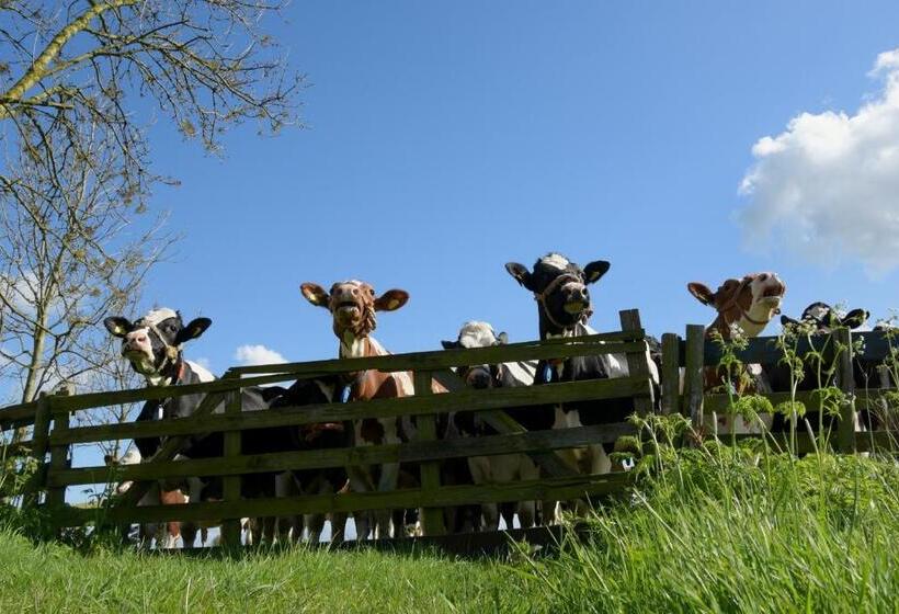 مبيت وإفطار Gastenverblijf Rodenburg