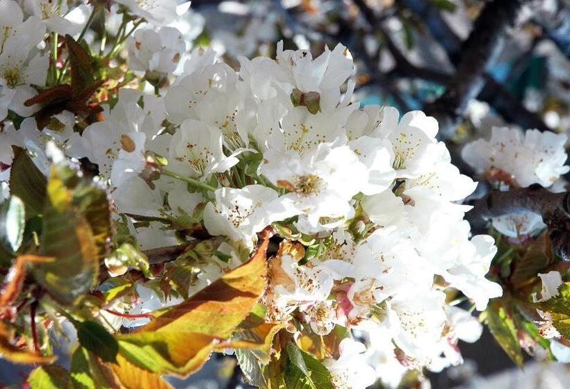 Nocleg ze śniadaniem Il Covo Dei Re