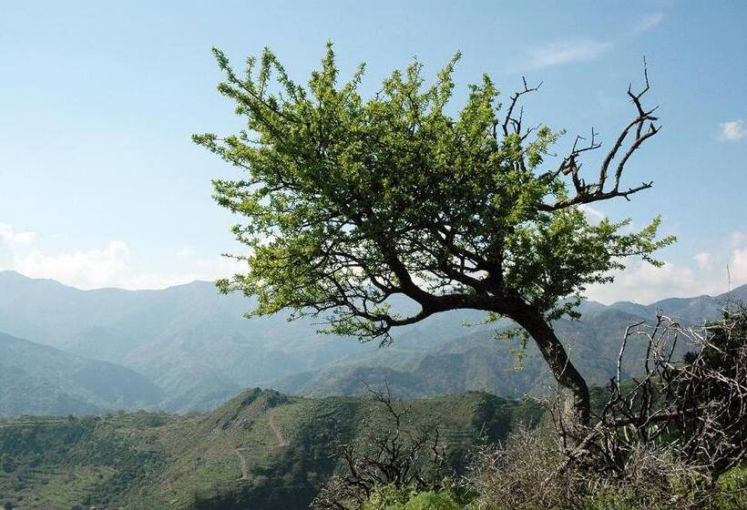 Nocleg ze śniadaniem Il Covo Dei Re