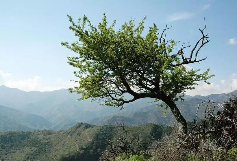 Aamiaismajoitus (B&B) Il Covo Dei Re