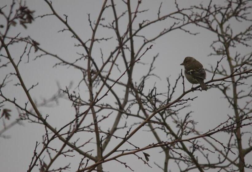 تختخواب و صبحانه La Charentine