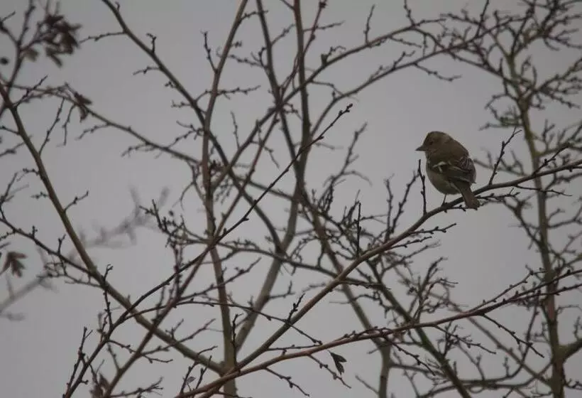 Aamiaismajoitus (B&B) La Charentine