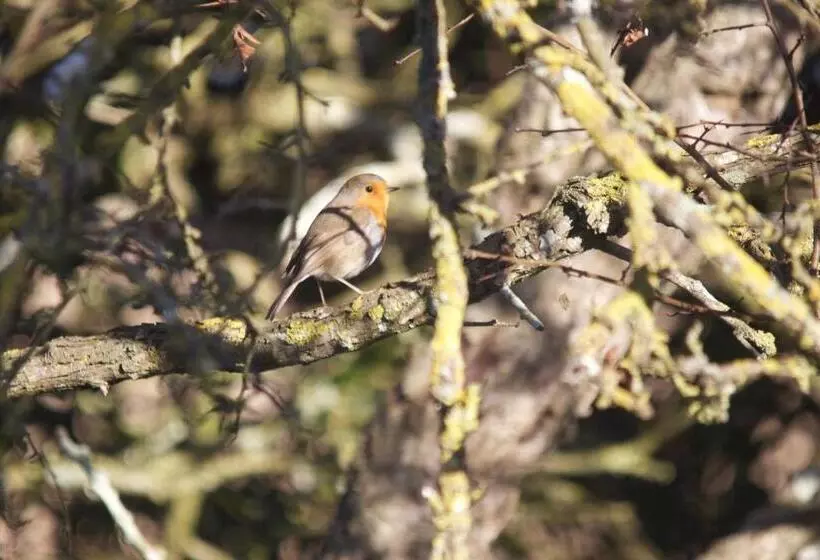 Aamiaismajoitus (B&B) La Charentine