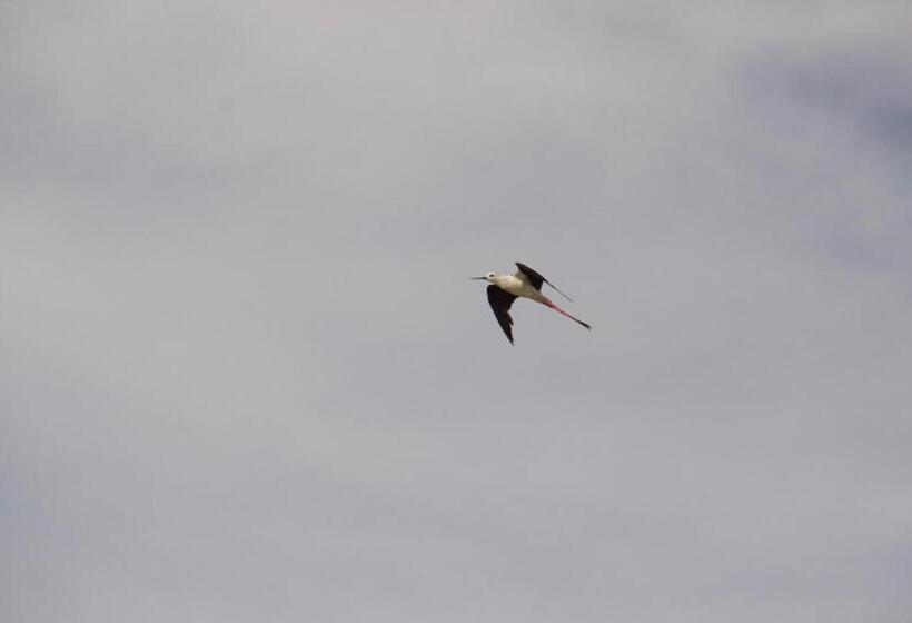 تختخواب و صبحانه La Charentine