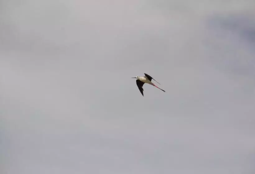 Aamiaismajoitus (B&B) La Charentine