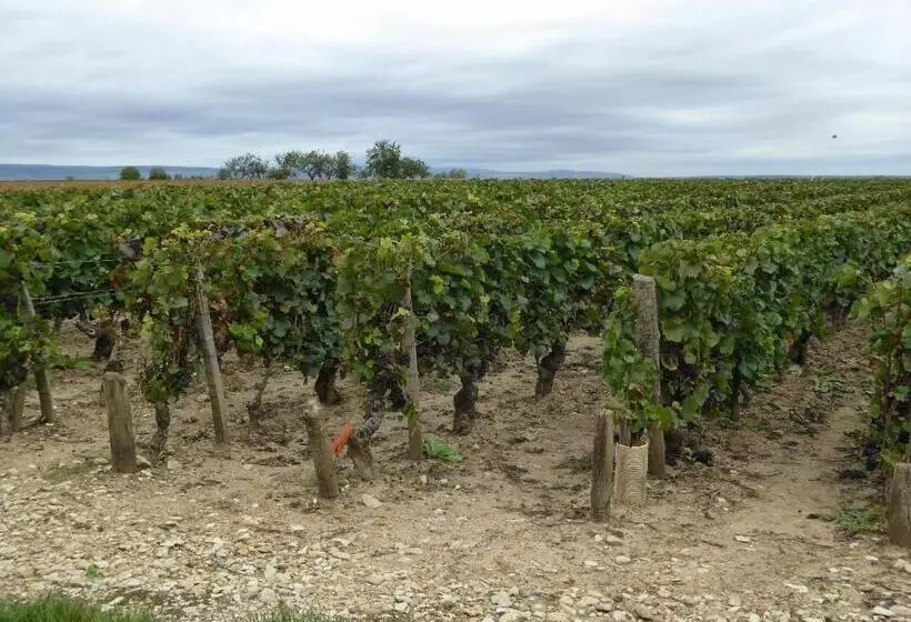 Aamiaismajoitus (B&B) La Loubertine