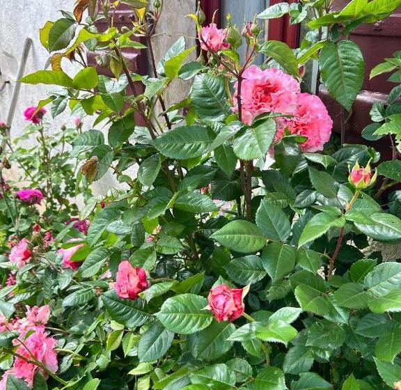 צימר La Loubertine