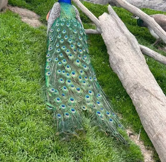 Aamiaismajoitus (B&B) La Loubertine