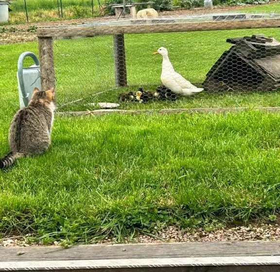 Aamiaismajoitus (B&B) La Loubertine