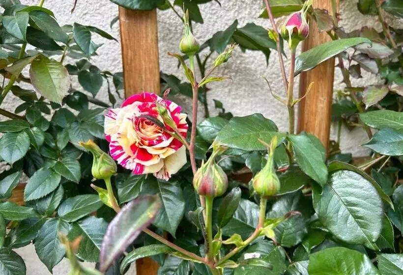 Aamiaismajoitus (B&B) La Loubertine