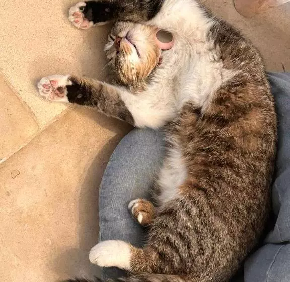 Aamiaismajoitus (B&B) La Loubertine