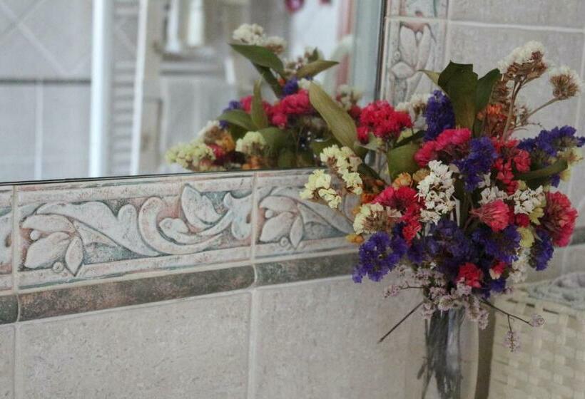 住宿加早餐 Morgana