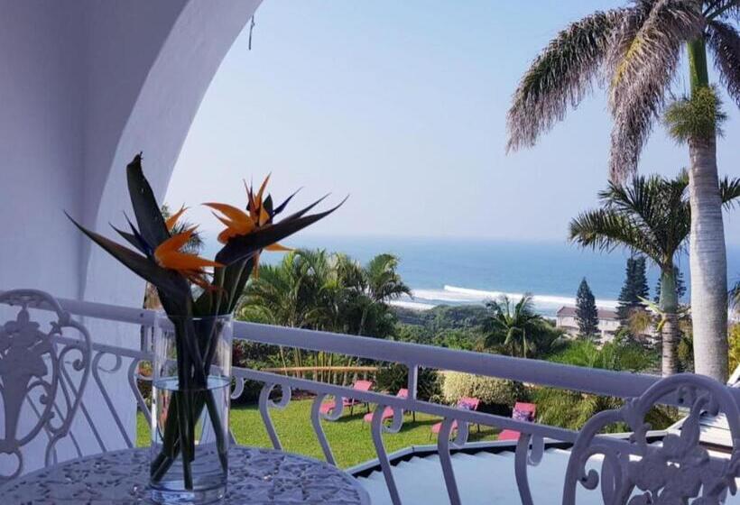 צימר The Lazy Shark