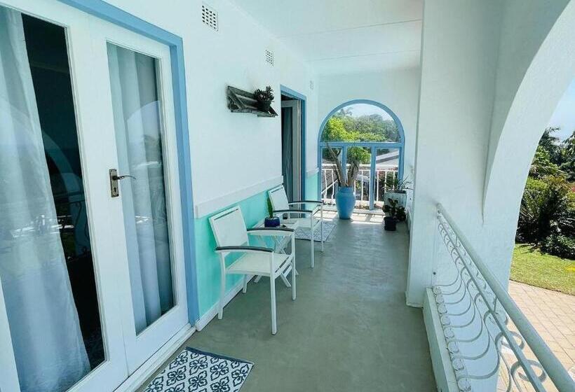 צימר The Lazy Shark