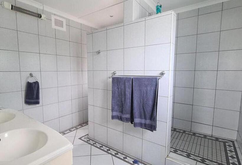 צימר The Lazy Shark