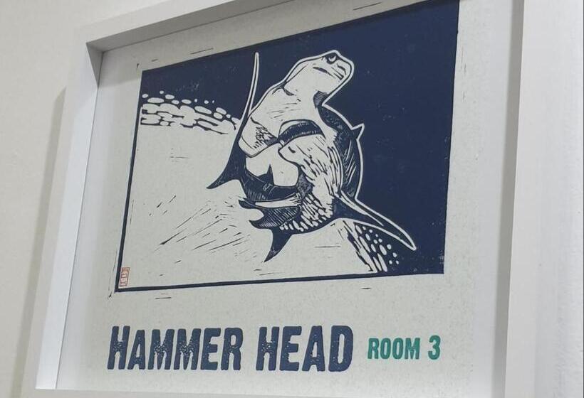 צימר The Lazy Shark