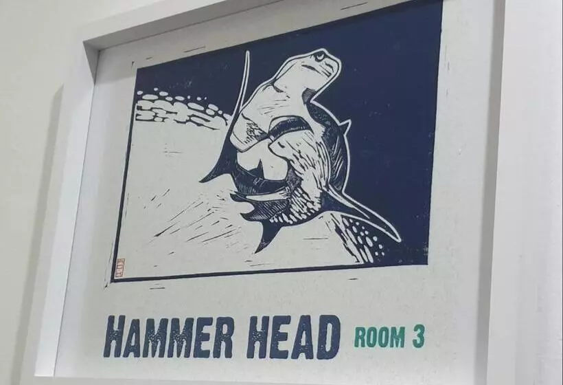 Aamiaismajoitus (B&B) The Lazy Shark