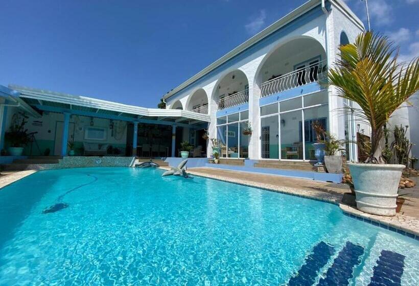 צימר The Lazy Shark