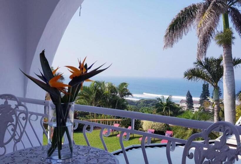 צימר The Lazy Shark