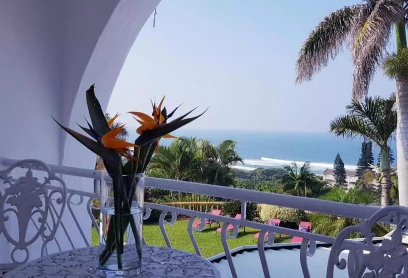 Aamiaismajoitus (B&B) The Lazy Shark