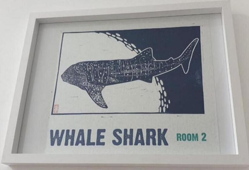 צימר The Lazy Shark