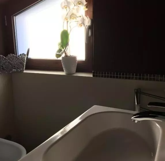 Aamiaismajoitus (B&B) Vieniacasaccadia